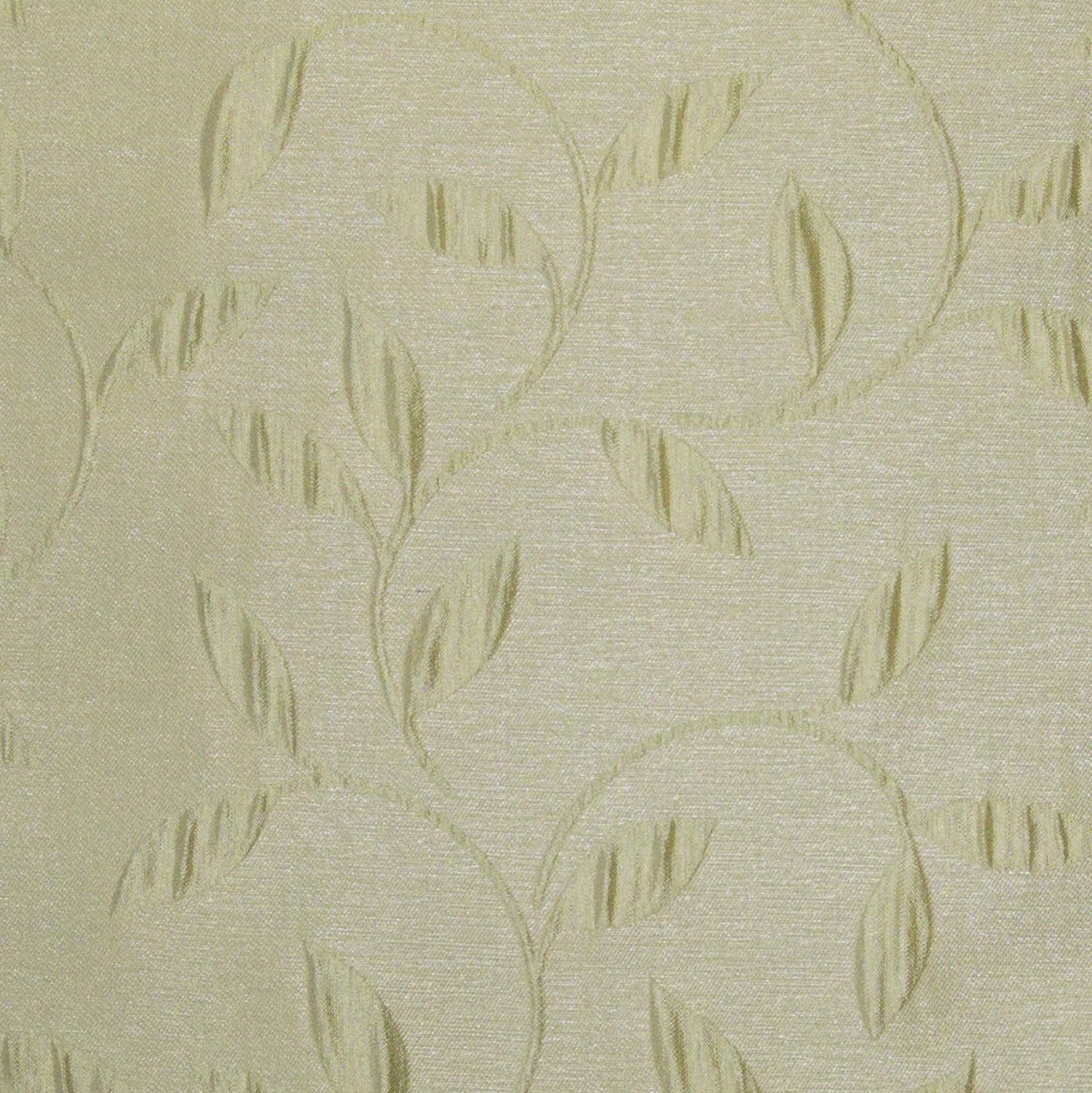 Parchment